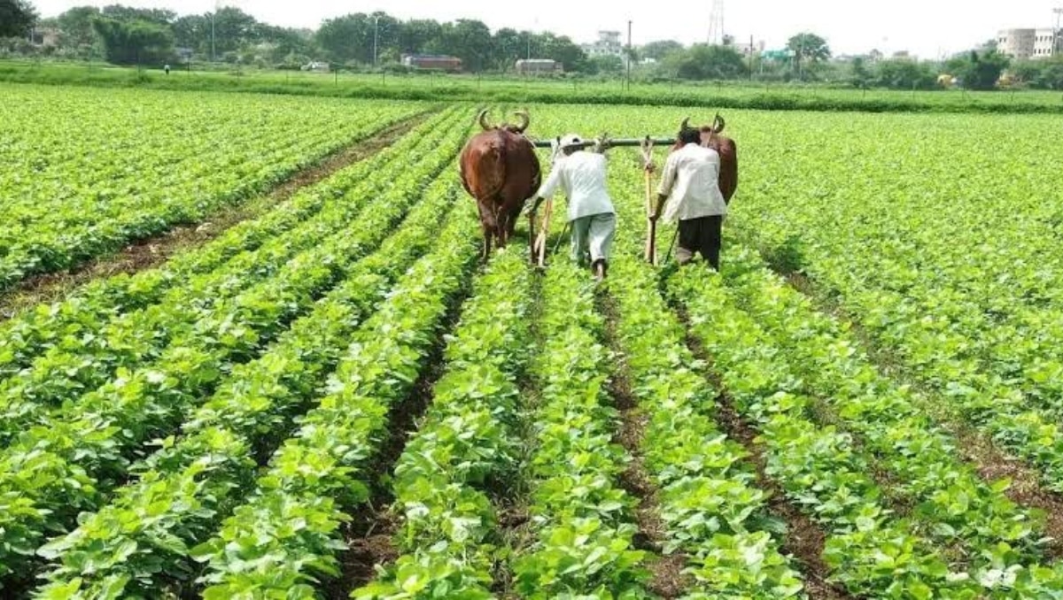 PM-KISAN योजना