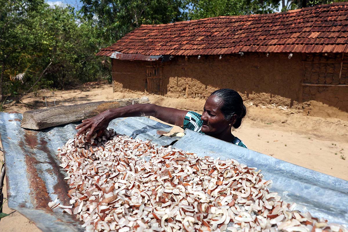 Sri Lanka Drought