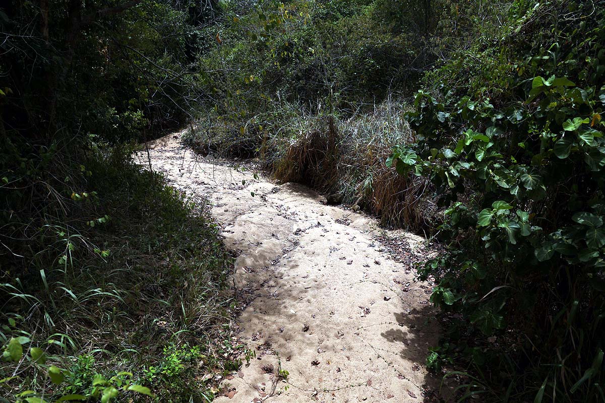 Sri Lanka Drought