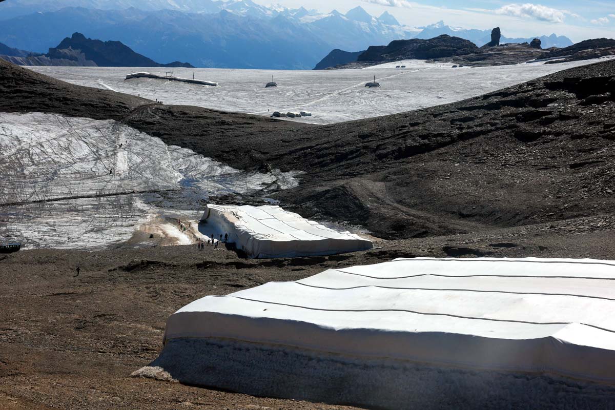 Swiss Glacier Sheep Wool