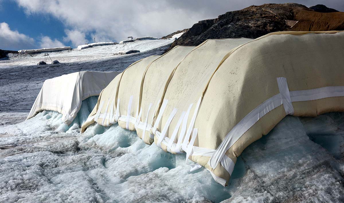 Swiss Glacier Sheep Wool