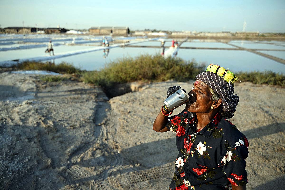 Thoothukudi salt pans