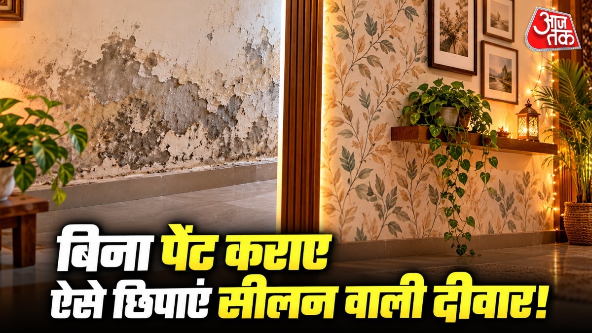 How to Hide Damp Walls for Diwali Without Painting