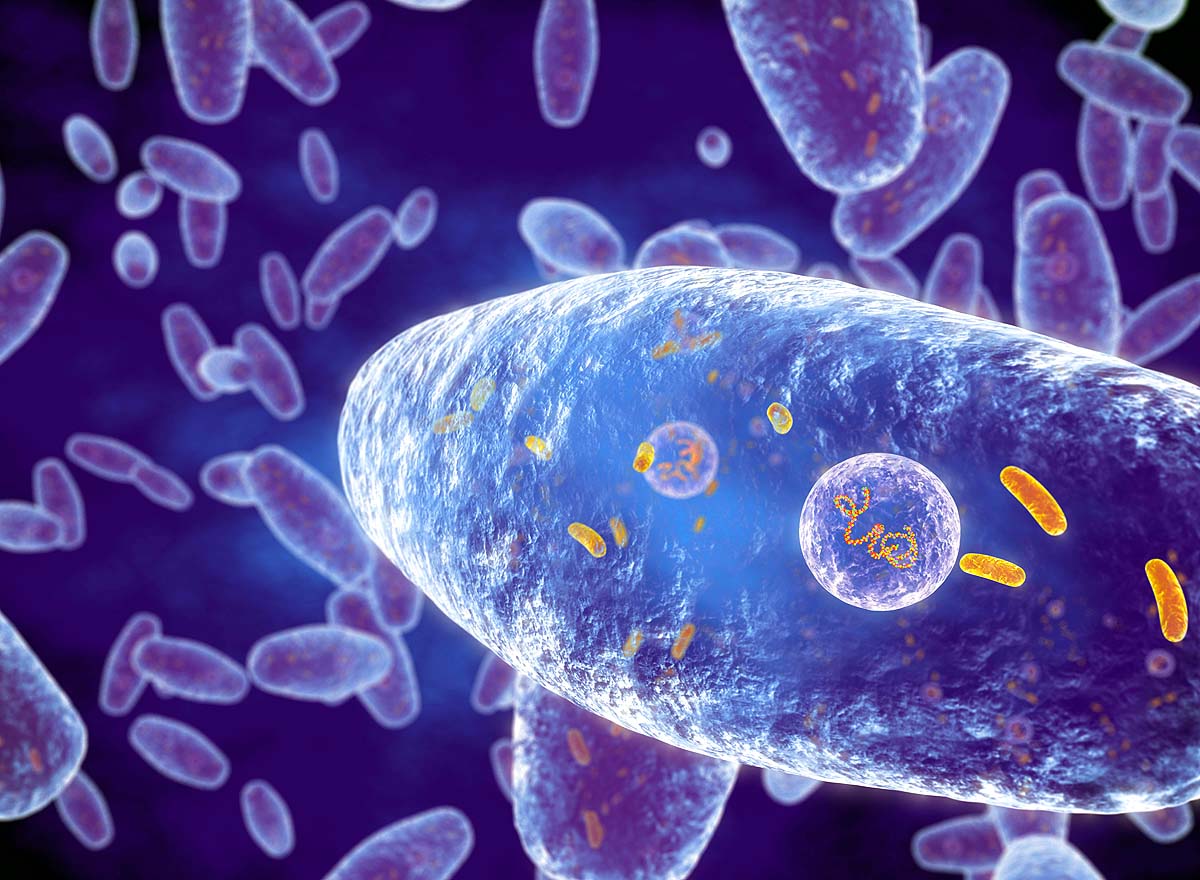 10 dangerous bacteria 