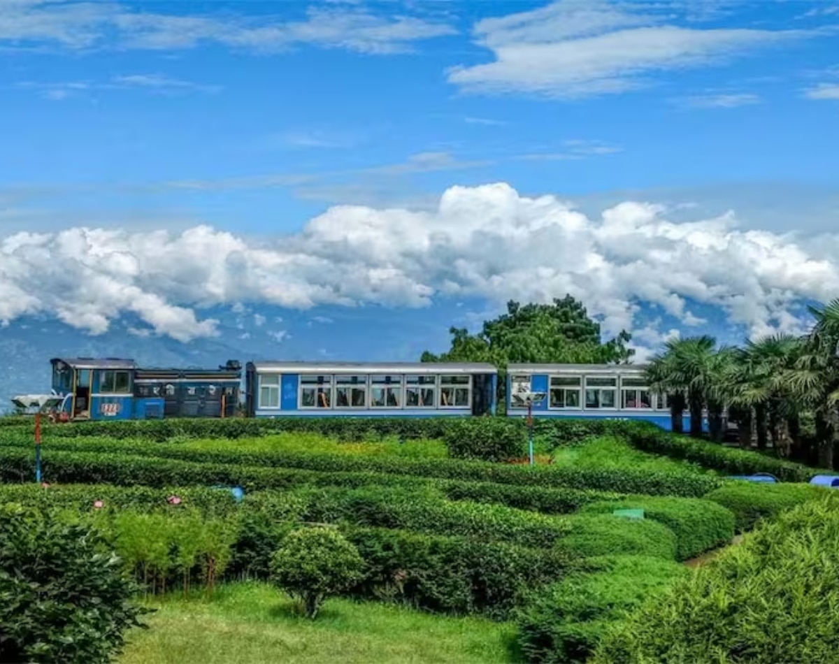 12 हजार यात्रियों ने किया सफर 