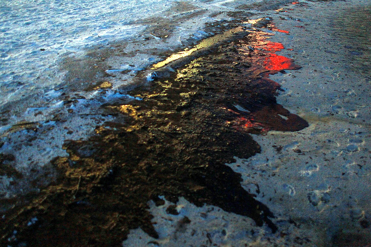 BP Oil Spill