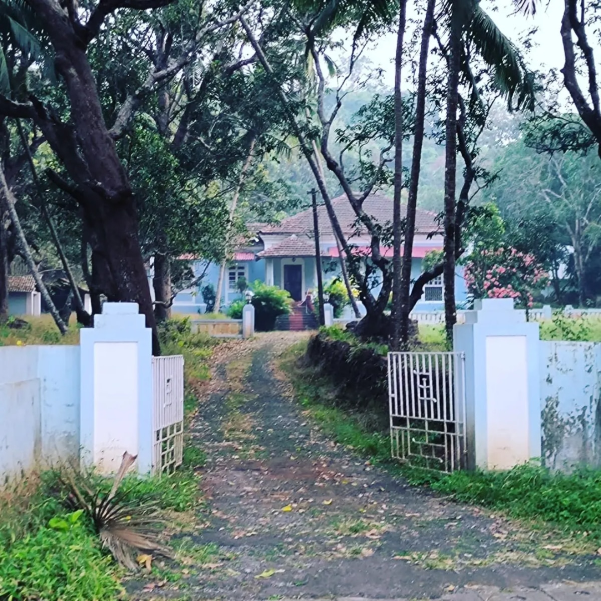 कहां है अजय देवगन की दृश्यम का असली घर?