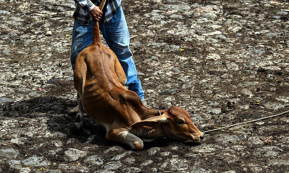 El Salvador Drought