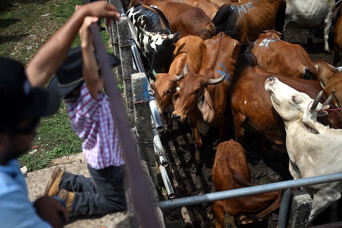 El Salvador Drought