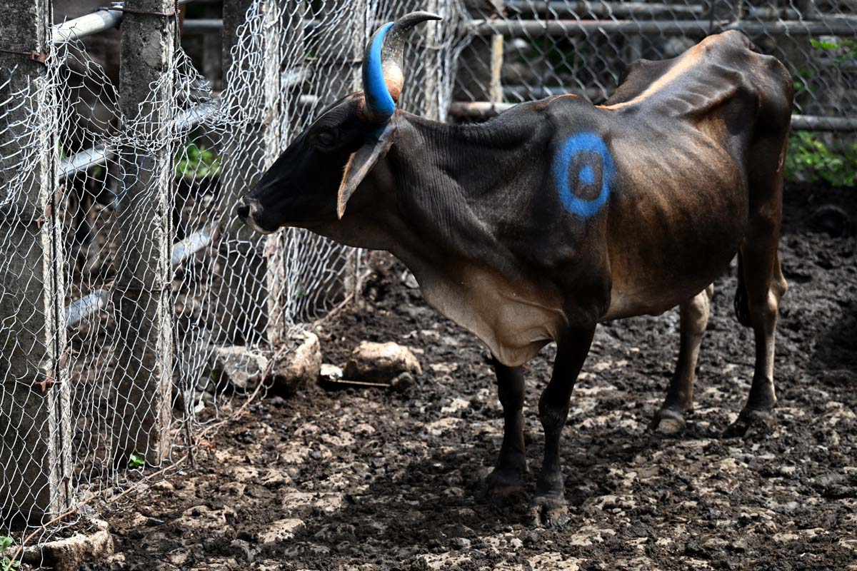 El Salvador Drought