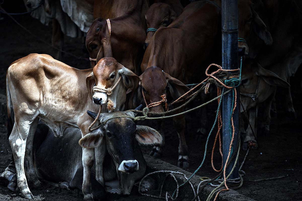 El Salvador Drought