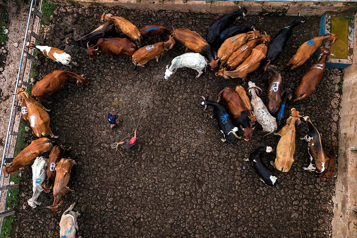 El Salvador Drought