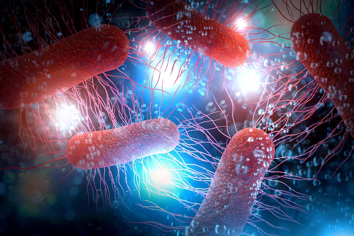 10 dangerous bacteria 