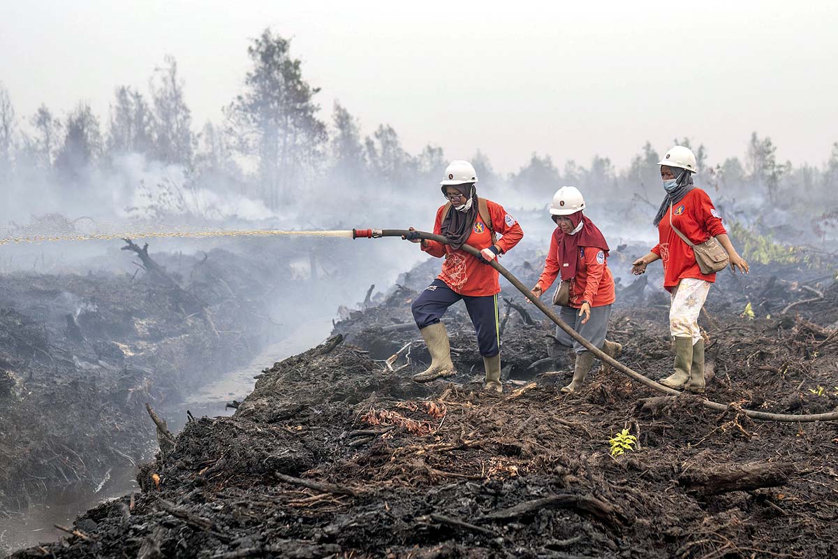 Indonesia Wildfires