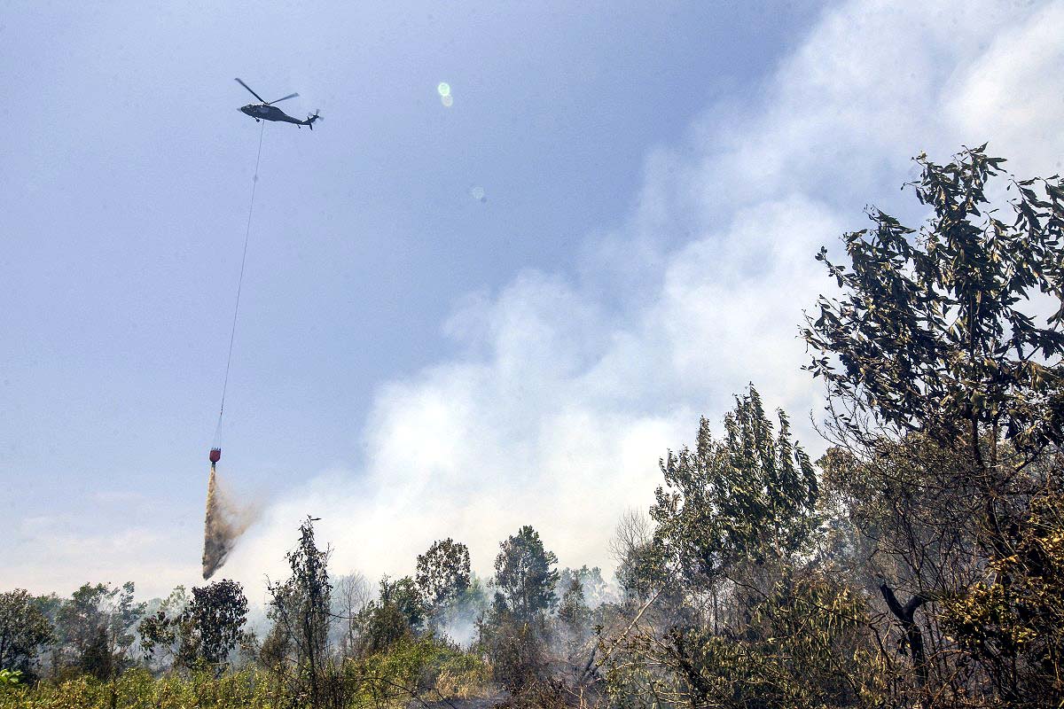 Indonesia Wildfires