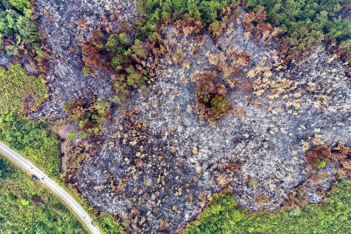 Indonesia Wildfires