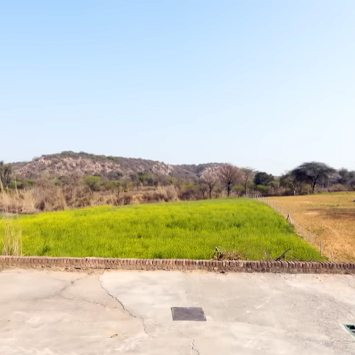 mika singh 100 acre haryana farmhouse inside tour