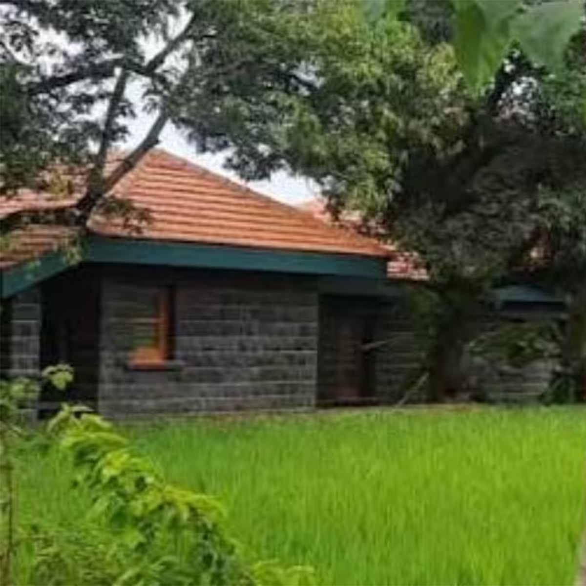 नाना पाटेकर