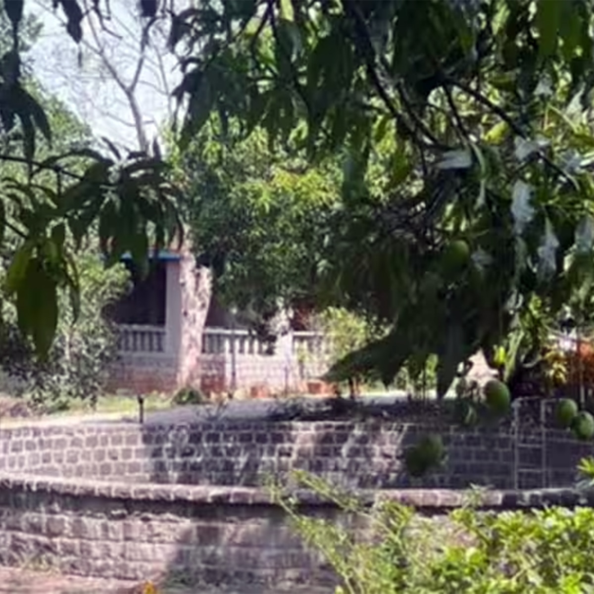 नाना पाटेकर