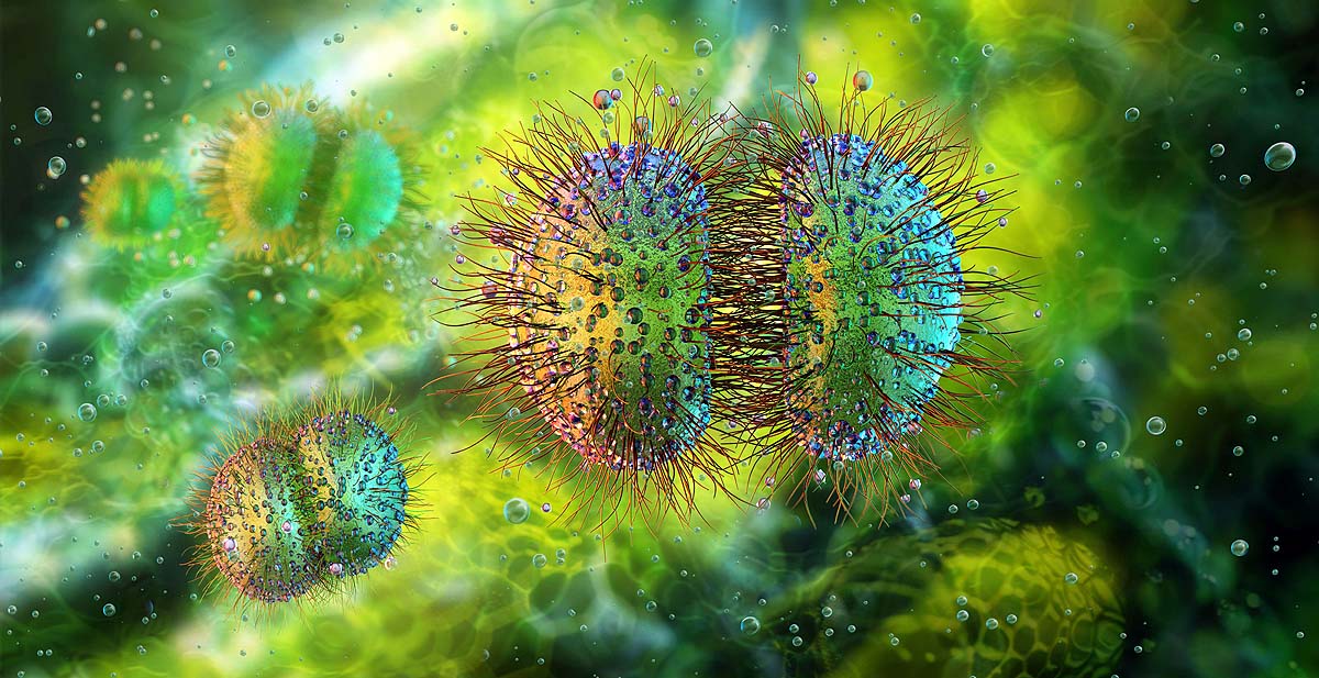 10 dangerous bacteria 