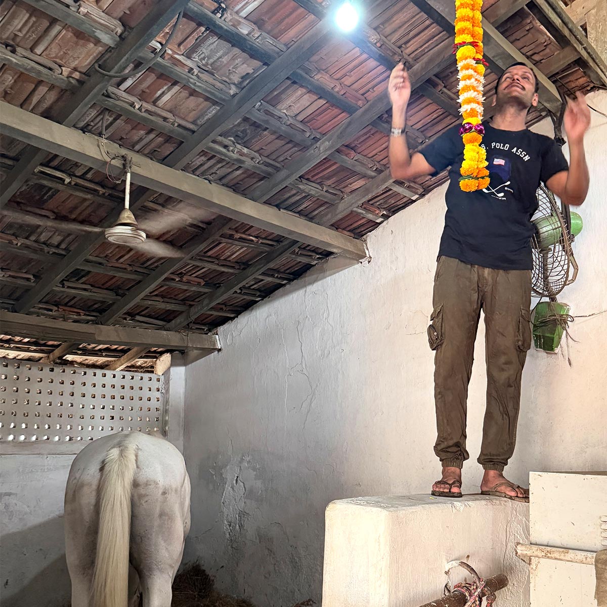  रणदीप हुड्डा