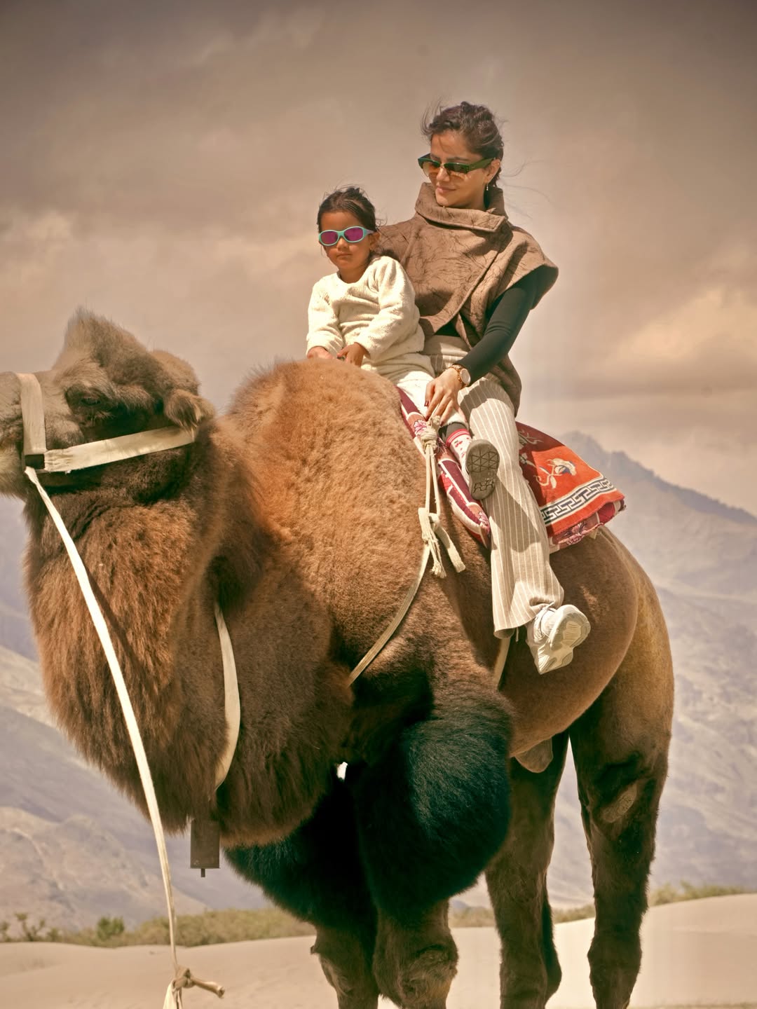 rubinadilaik camel