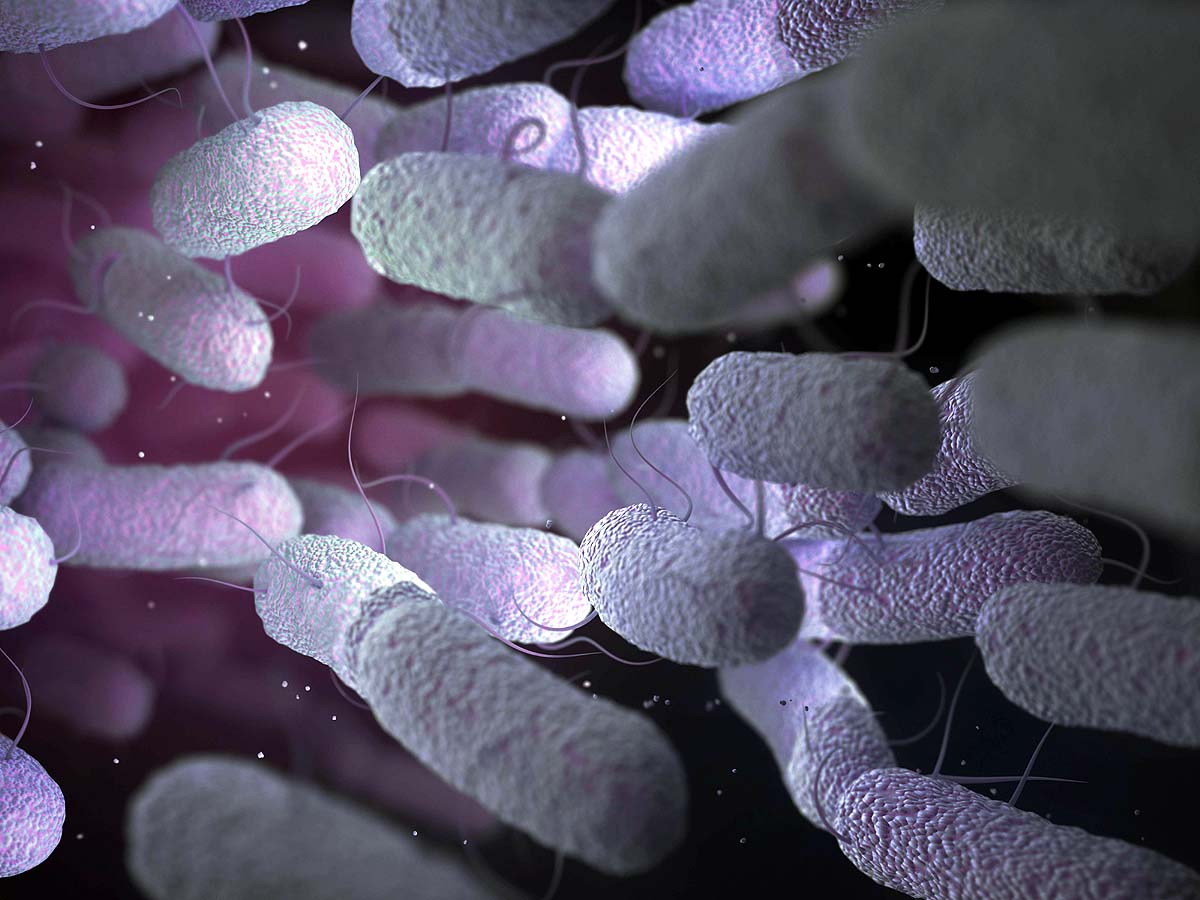 10 dangerous bacteria 