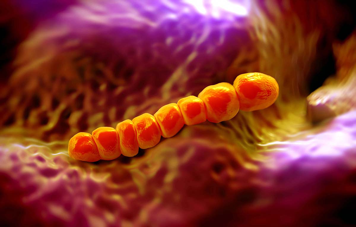10 dangerous bacteria 