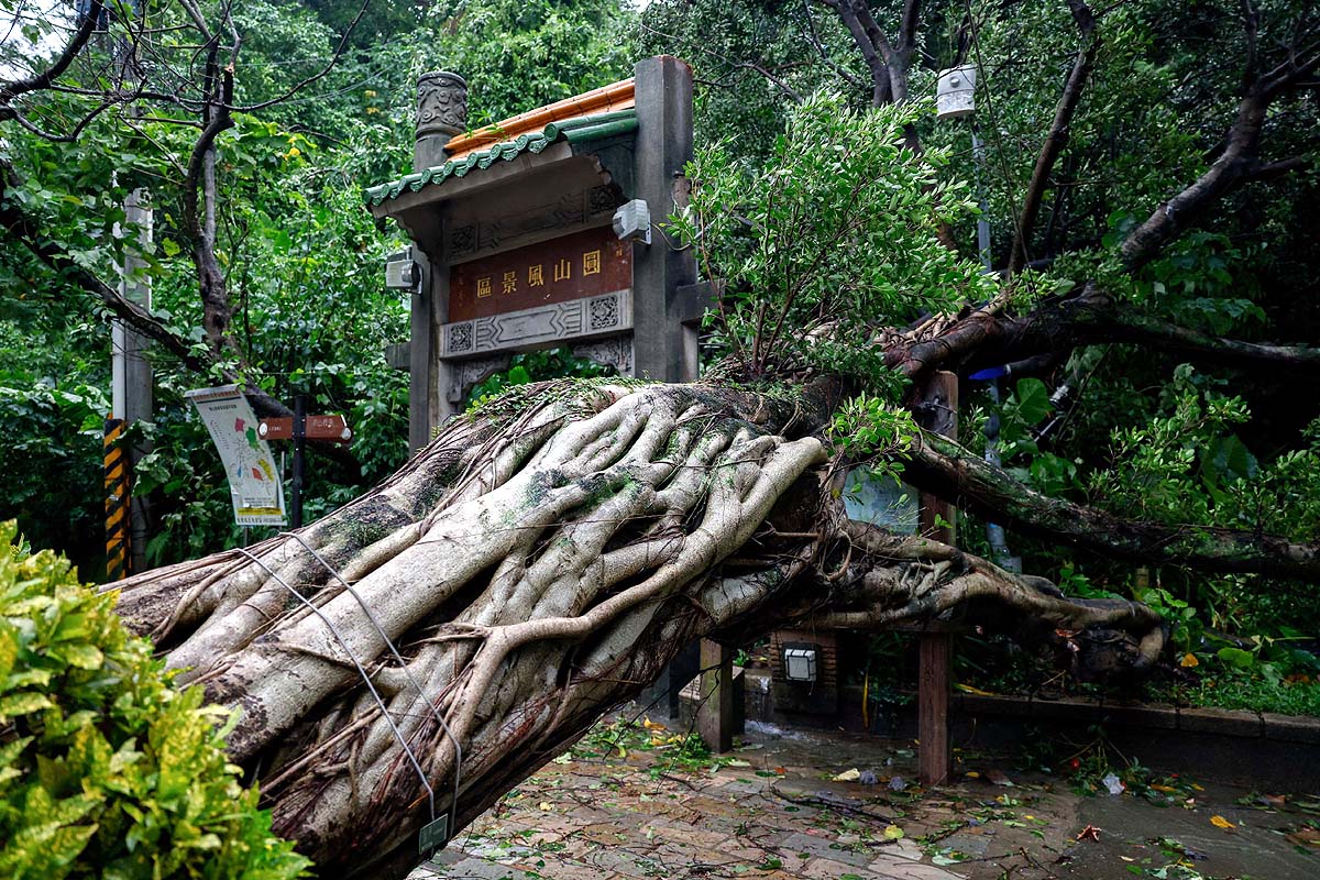 Typhoon Champi Taiwan