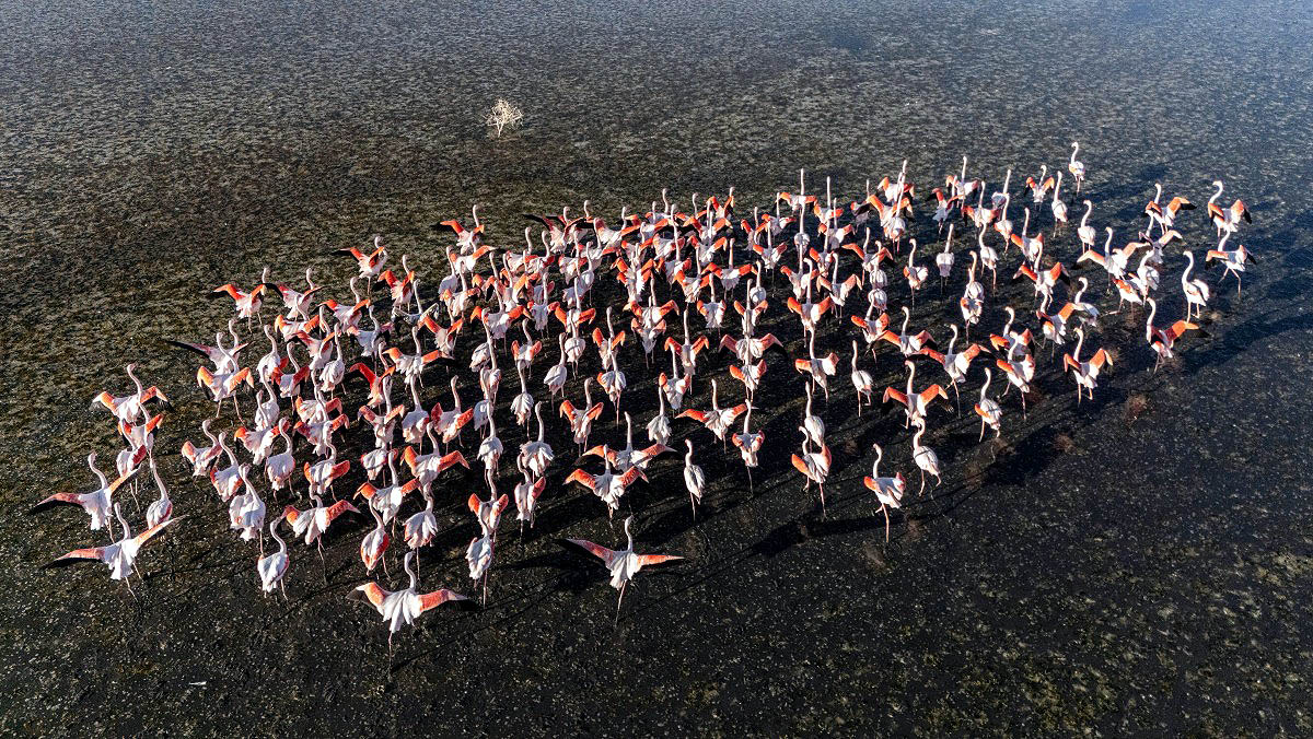 turkey salt lake drought