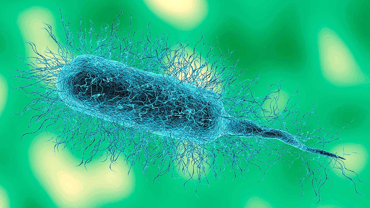 10 dangerous bacteria 