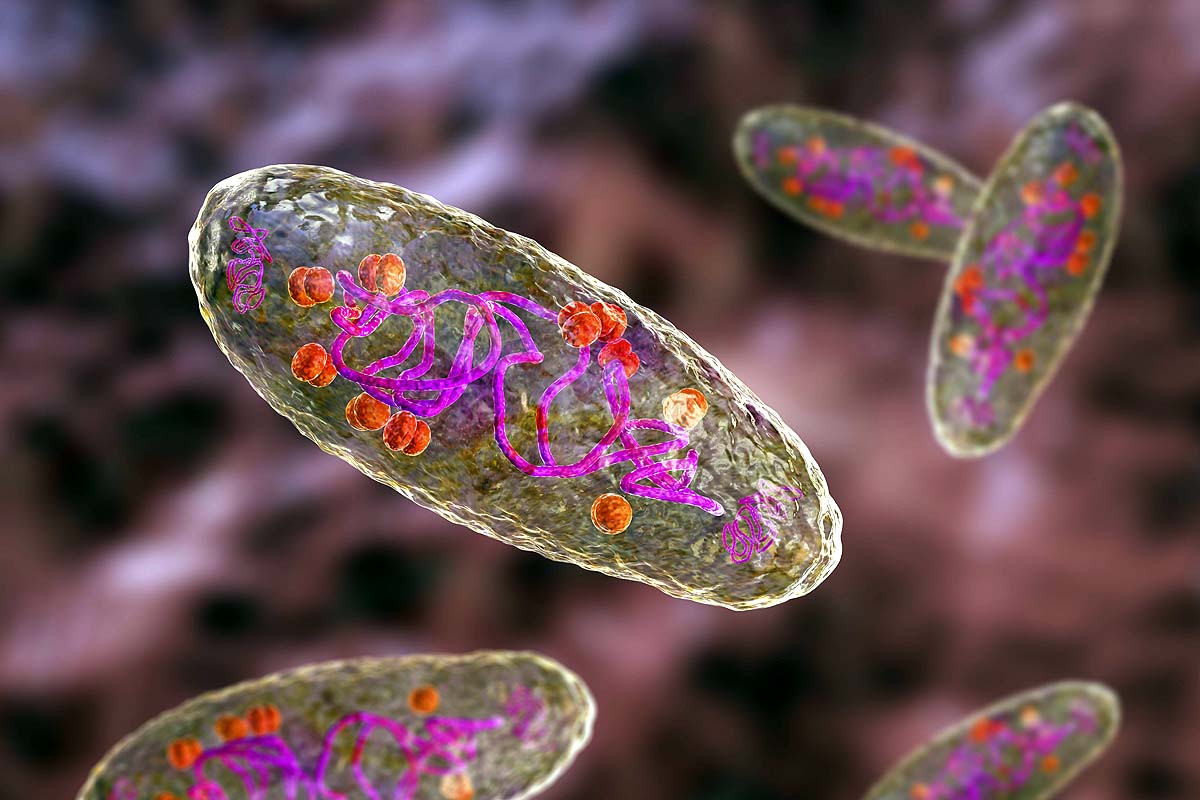 10 dangerous bacteria 