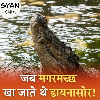 क्यों दी जाती है घड़ियाल के आंसुओं की मिसाल: ज्ञान ध्यान, Ep 215