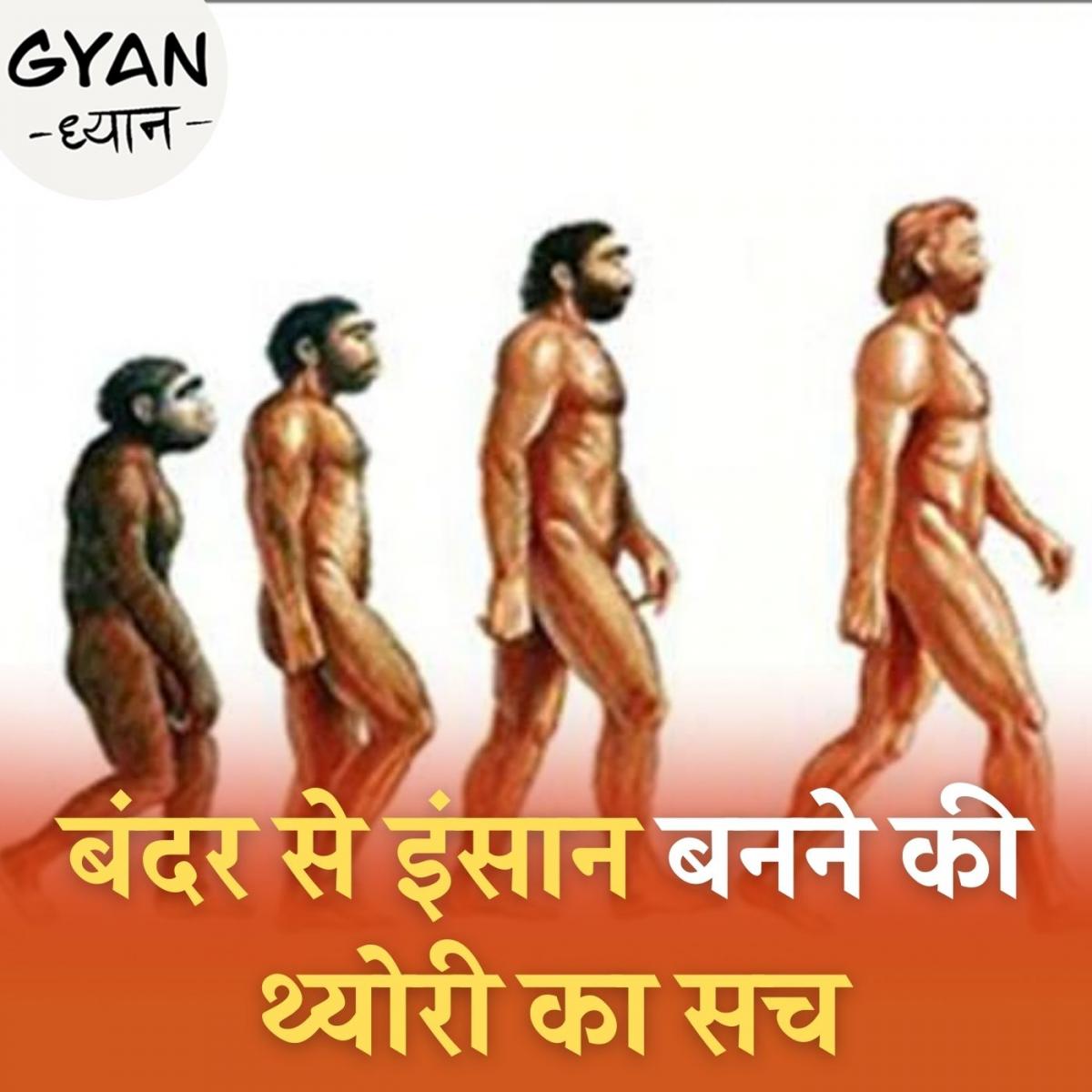 अगर हम बंदरों से इंसान बने हैं, तो सारे बंदर इंसान क्यों नहीं बन गए? : ज्ञान ध्यान, Ep 325