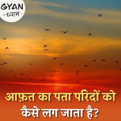 तूफ़ान और सुनामी की आवाज़ पहले कैसे सुन लेते हैं पक्षी: ज्ञान ध्यान, Ep 324