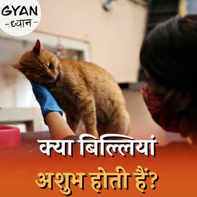 यूरोप में बिल्लियों को जलाये जाने की कहानी क्या है : ज्ञान ध्यान Ep 357