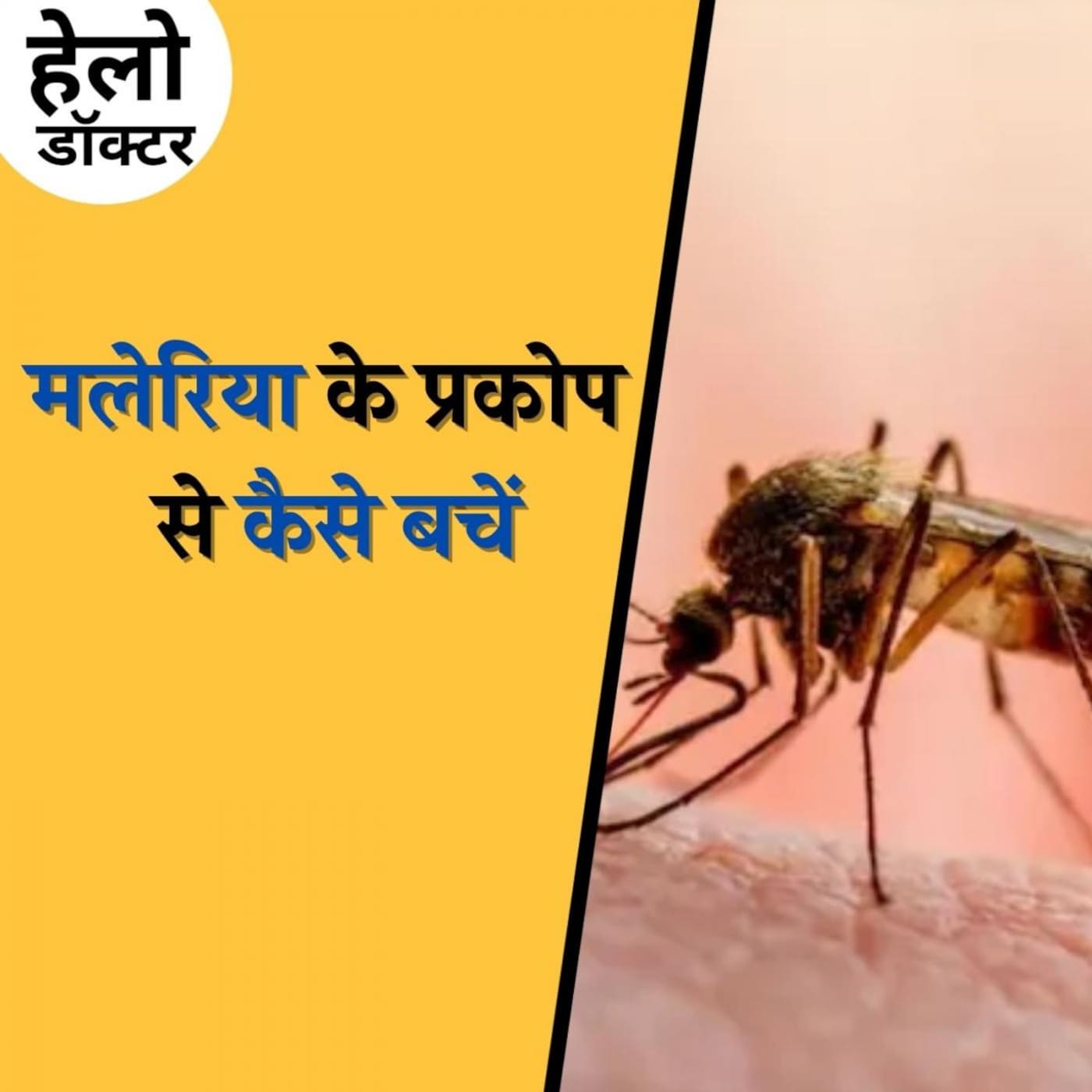 आपको डेंगू हुआ या मलेरिया, पहचान कैसे करें? : हेलो डॉक्टर, Ep 104 आपको डेंगू हुआ या मलेरिया, पहचान कैसे करें? : हेलो डॉक्टर, Ep 104