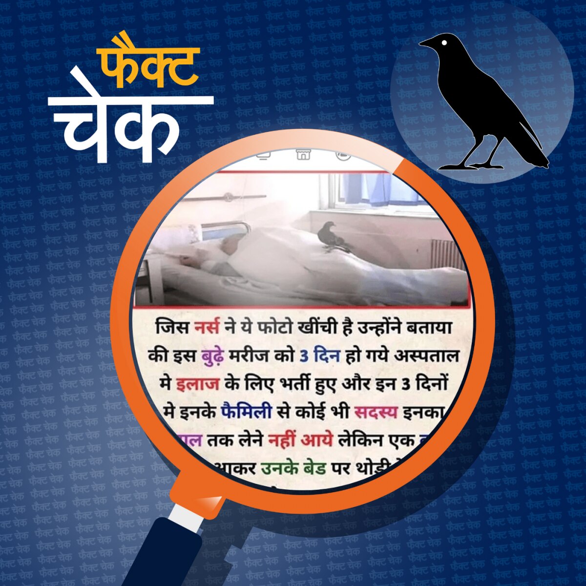 बुज़ुर्ग मरीज़ पर बैठे कबूतर की तस्वीर ग़लत दावों के साथ वायरल: फैक्ट चेक