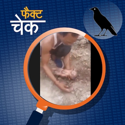 खेत में दबा मिला नवजात, मोरक्को भूकंप से जोड़कर वायरल हुए वीडियो का सच: फैक्ट चेक