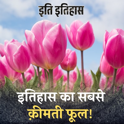 ट्यूलिप का वो नायाब फूल जिसके चक्कर में हज़ारों लोग फ़ना हो गए: इति इतिहास, Ep 98