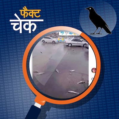 लखनऊ में हुई मछलियों की बारिश? वायरल दावे का सच क्या है: फैक्ट चेक