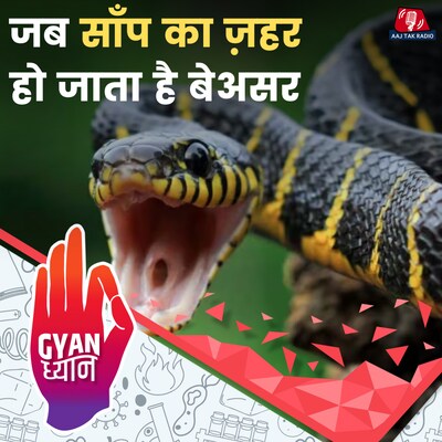 ज़हर की माइक्रोडोज़ शरीर को कैसे इम्यून बना देती है?: ज्ञान ध्यान