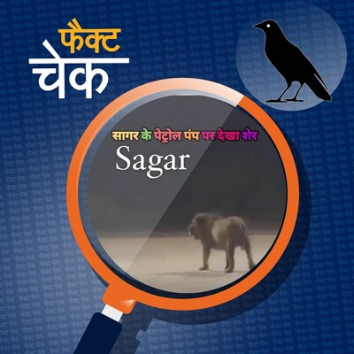 पेट्रोल पंप पर घूम रहे शेर के वायरल वीडियो की सच्चाई क्या है: फैक्ट चेक