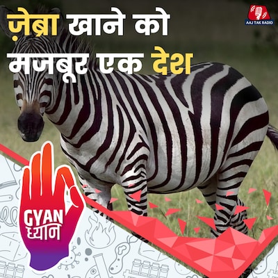 इस देश ने क्यों निकाला 700 हाथियों को मारने का सरकारी आदेश?: ज्ञान ध्यान