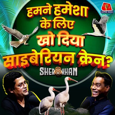 Migratory Birds की दिलचस्प दुनिया के बारे में सब कुछ: Sher Khan, Ep 14