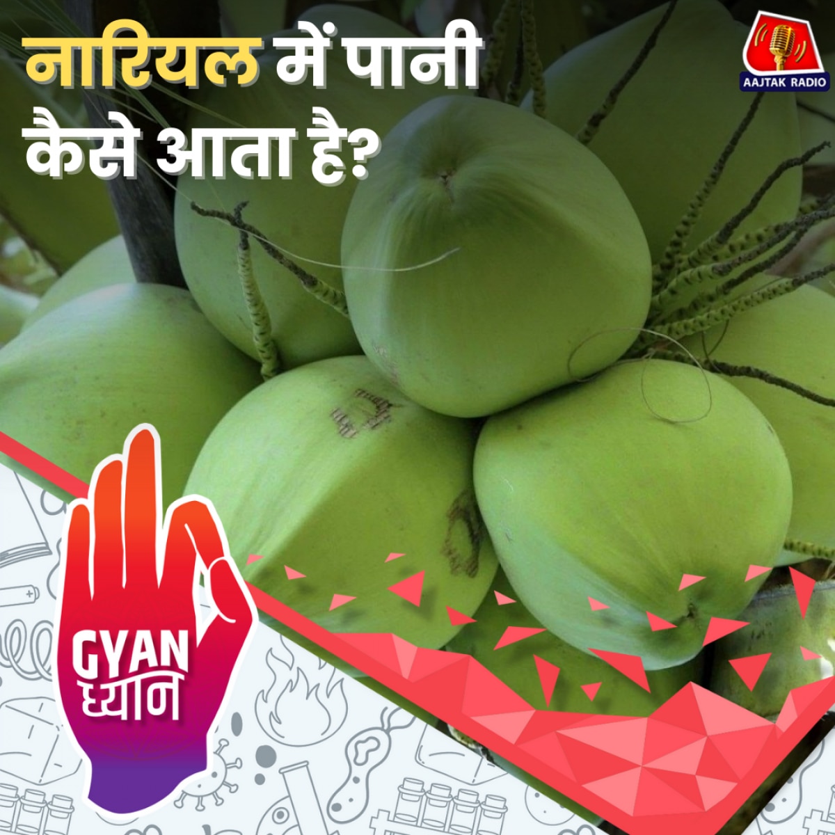 नारियल पानी किस किस के लिए है फ़ायदेमंद?: ज्ञान ध्यान