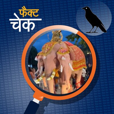 प्रयागराज महाकुंभ में तीन सिर वाले हाथी दिखने के दावे की पड़ताल: फैक्ट चेक