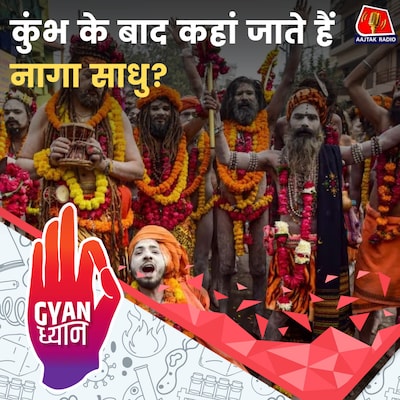 नागा साधु कौन होते हैं और कुंभ मेले में कहां से आते हैं?: ज्ञान ध्यान