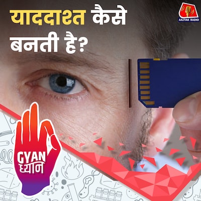 हमारी याददाश्त कैसे काम करती है, और इसे कैसे सुधार सकते हैं? ज्ञान ध्यान