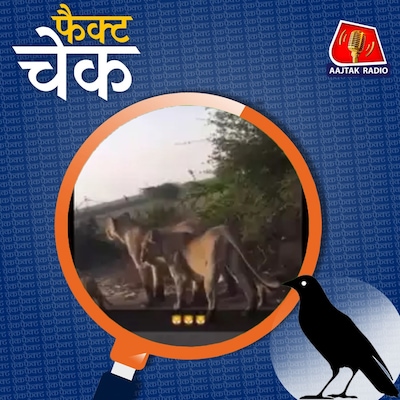 दिल्ली की सड़क पर अचानक दिखा शेर? वायरल वीडियो की पड़ताल: फैक्ट चेक